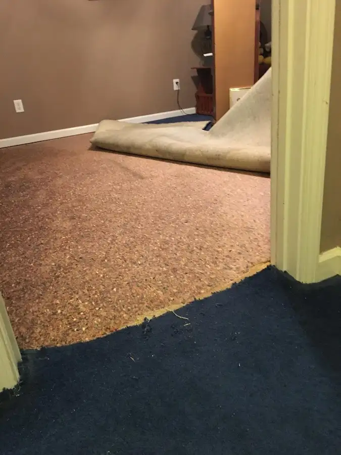Carpet pad removal revealing water damage during Drying & Dehumidification in Gunbarrel