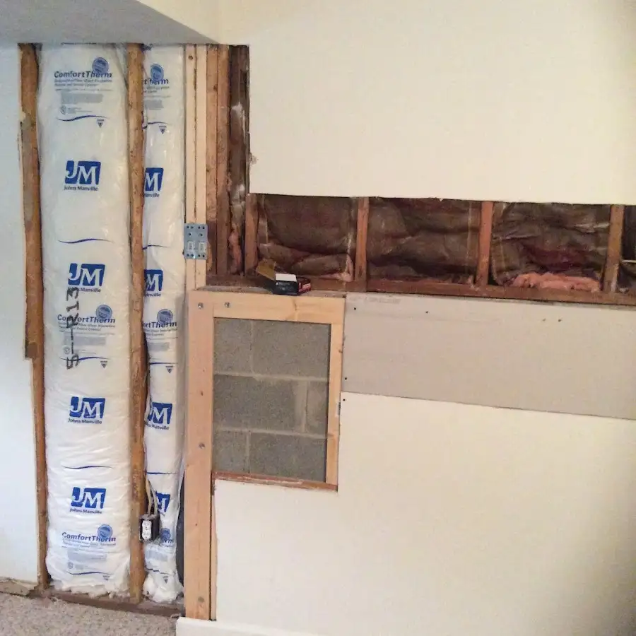 Wall insulation replacement during Odor Removal & Deodorization in Gunbarrel